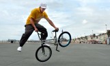 Top Dog BMX Riders: Top Dog BMX Riders (jpeg image)